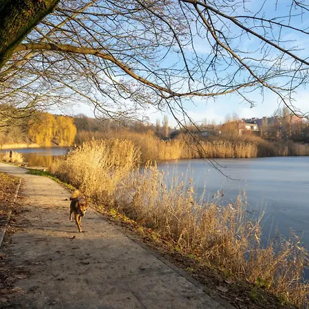 Szczesliwice - Office, Balcony And Parking - By Rentujemy *