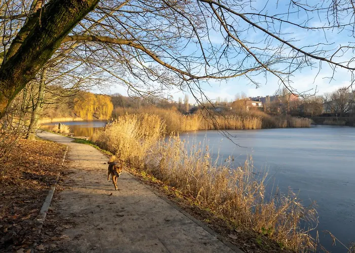 Szczesliwice - Office, Balcony And Parking - By Rentujemy *